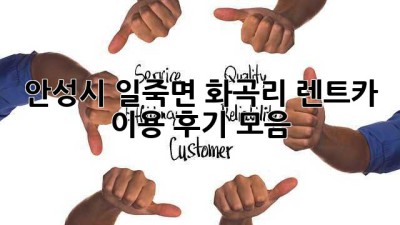 안성시 일죽면 화곡리 렌트카 이용 후기 모음