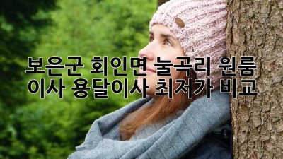 보은군 회인면 눌곡리 원룸 이사, 용달이사 최저가 비교!